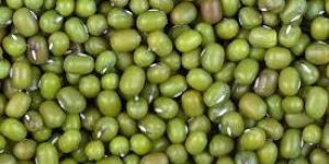 Whole Green Moong Dal