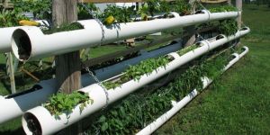 PVC Garden Pipe