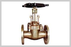 Globe Valve