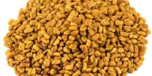 Fenugreek Seeds