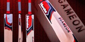 English Willow Cricket Bats