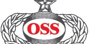 Security Guards Services