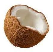 Fresh Coconut