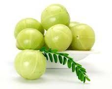 Fresh Amla