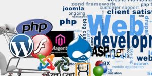 Web Development Service