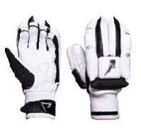 Cricket Gloves