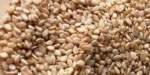 White Sesame Seeds