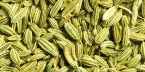 Fennel Seeds