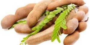 Tamarind Pods