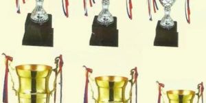 Metal Trophy Cups