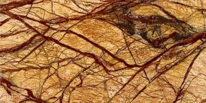 Designer Rainforest Golden Marble Stone