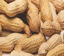 Ground Nuts
