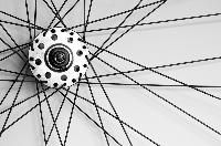 Bicycle Spoke