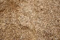 Coarse Sand