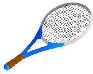 Tennis Bat