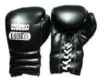 Boxing Gears