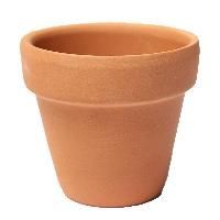 Terracotta Flower Pot