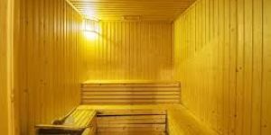 Steam Sauna