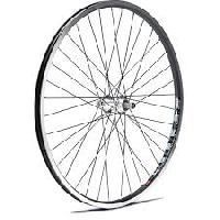 Bicycles Spokes