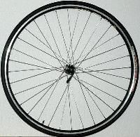 Bicycle Wheel