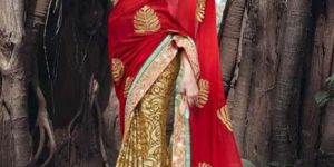 Georgette Saree