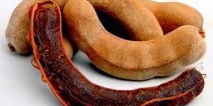 Tamarind Pods