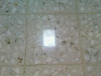 Terrazzo Tiles