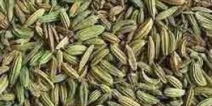 Fennel Seeds