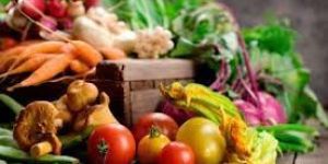 Organic Vermicompost