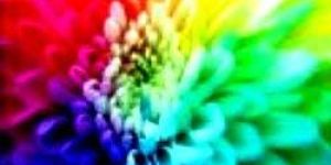 Industrial Pigments