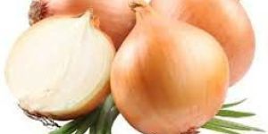 Fresh Onion