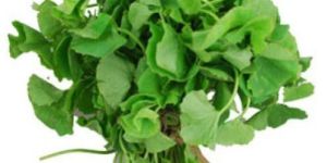 Fresh Vallarai Keerai Leaves