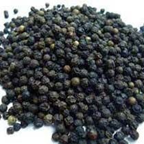 Black Pepper Seeds