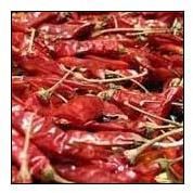 Kashmiri Red Chilli