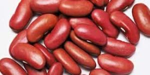Red Kidney Beans