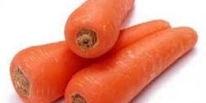 Fresh Carrot