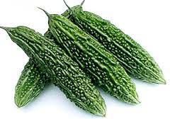 Fresh Bitter Gourd
