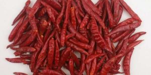 Dry Red Chillies