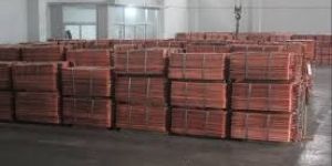 Copper Cathodes