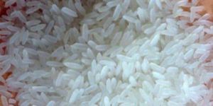 Indian Rice