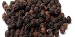 Black Pepper Seeds
