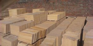 Teakwood Sandstone Tiles