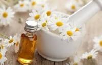 Chamomile Oil