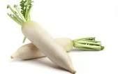 Radish