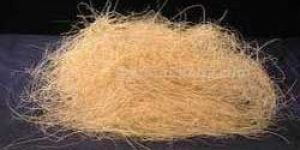 Coconut Fibre