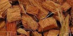 Coconut Husk Chips
