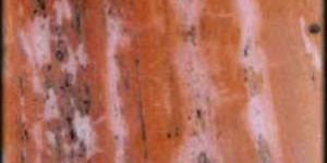 Dark Pink Makrana Marble