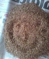 Organic Bamboo Rice