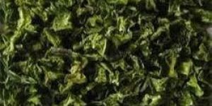 Dehydrated Green Capsicum