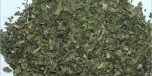 Dried Coriander Leaves
